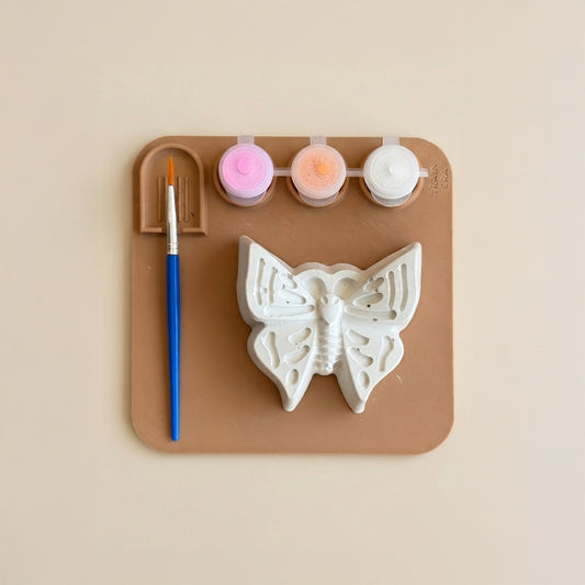 set pictura joaca fluture ipsos cadou gradinita aniversare